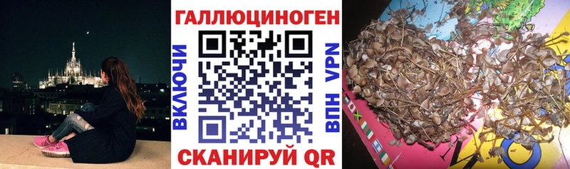 Галлюциногенные грибы прущие грибы  Балаково 