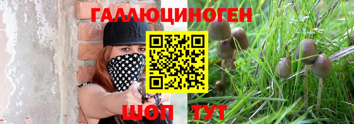 Псилоцибиновые грибы Cubensis  Вход с VPN  Балаково 