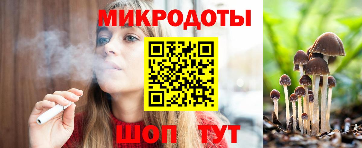 Псилоцибиновые грибы Cubensis Балаково